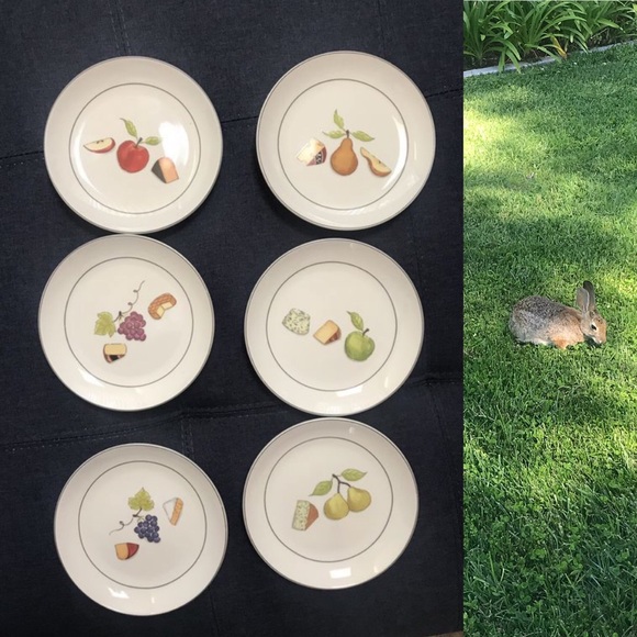 Crate&Barrel Other - Crate & Barrel Fruit Fromage Appetizer Plates